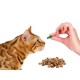 Витамины, минералы, лакомства для кошек